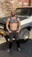 Load image into Gallery viewer, Blue leather bulldog harness with cock ring suspension