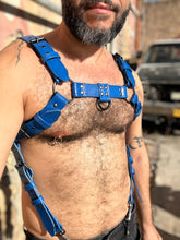 Load image into Gallery viewer, Blue leather bulldog harness with cock ring suspension