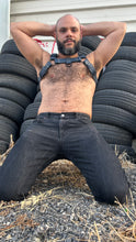 Load image into Gallery viewer, Classic bulldog harness blue
