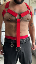 Load image into Gallery viewer, Y shape Red elastic harness
