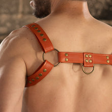 Load image into Gallery viewer, Snap-on orange bulldog Harness
