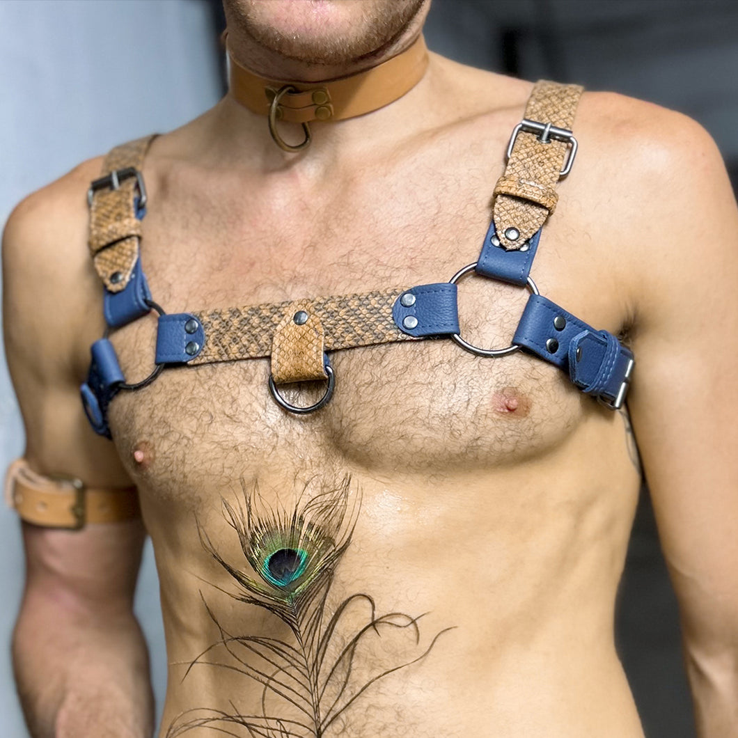 Brown snake skin and blue leather harness