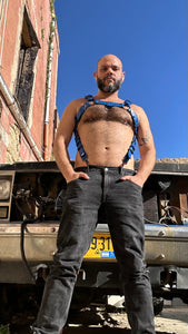 Blue leather bulldog harness with cock ring suspension