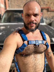 Blue leather bulldog harness with cock ring suspension