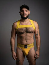 Load image into Gallery viewer, Yellow elastic harness+jocks
