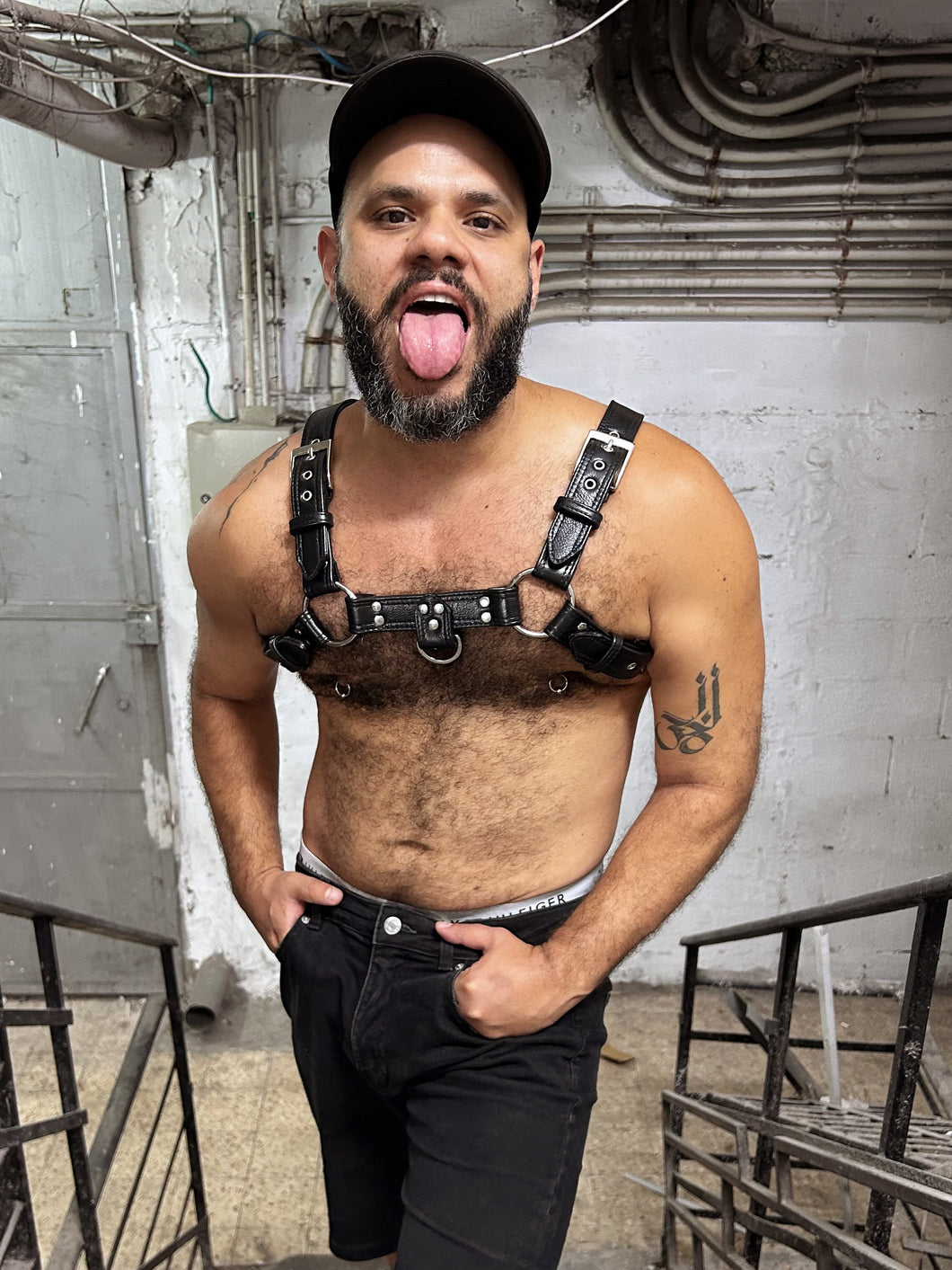 Classic black leather bulldog Harness